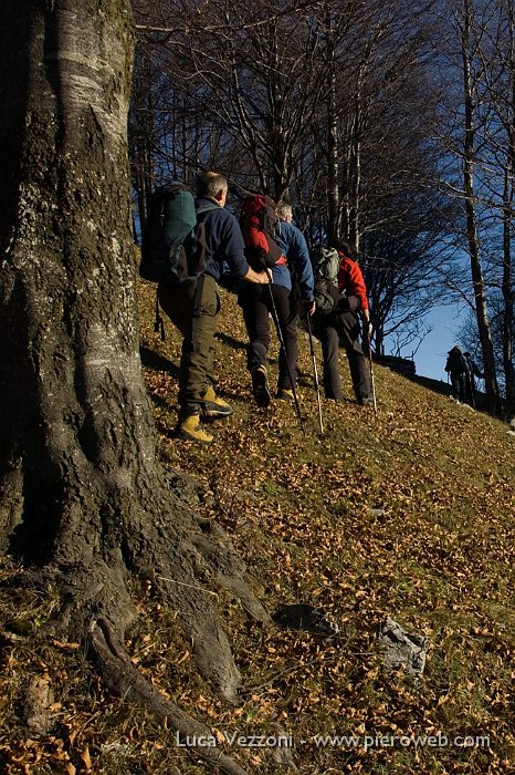 04-ORMAI FUORI DAL BOSCO.jpg